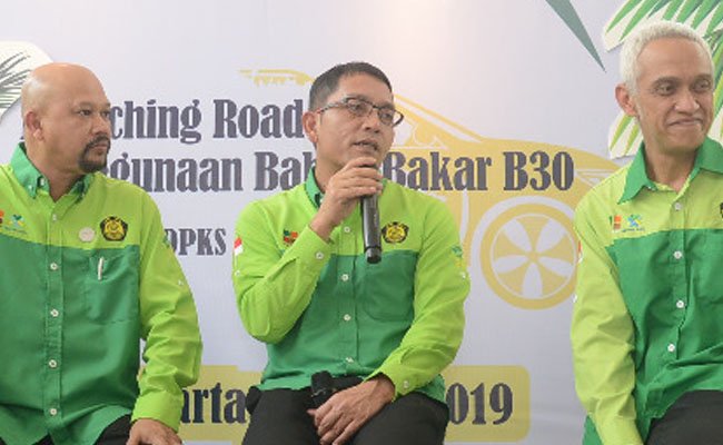 Biodiesel Sawit Untuk Pembangkit Listrik Butuh Investasi Rp 10 Triliun
