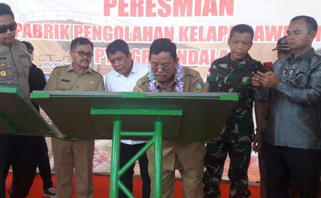 DSNG Resmikan Pabrik Kelapa Sawit Baru di Kalbar