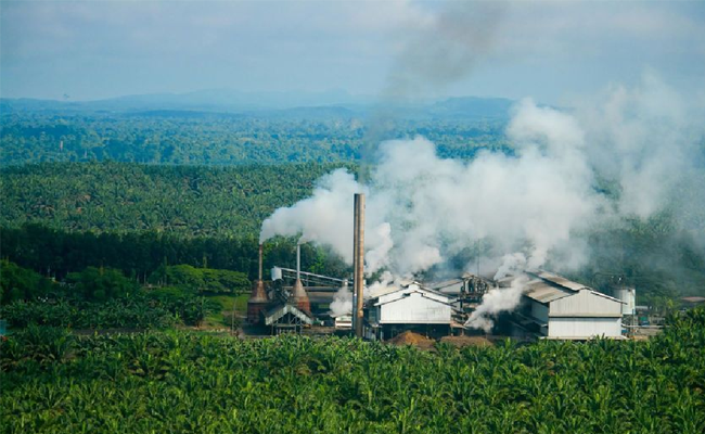 Mengawal Misi Presiden Kembangkan Sawit Lewat Biodiesel