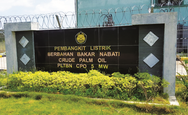 Minyak Kelapa Sawit Layak Gantikan Minyak Solar