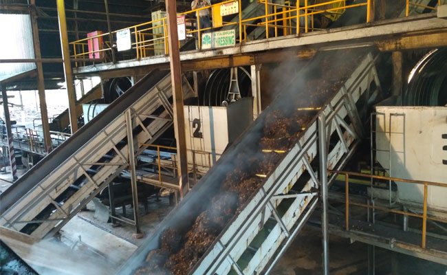 Produksi Minyak Sawit (CPO) Indonesia Agustus 2019 Capai 34,7 Juta Ton