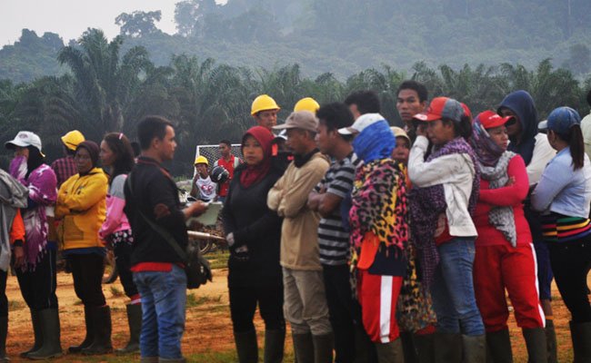 Omnibus Law Cipta Kerja Dianggap Perburuk Kondisi Buruh Perempuan Perkebunan Sawit
