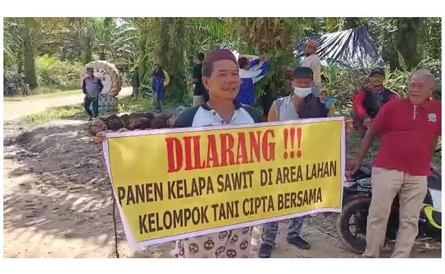 150 Petani Sawit Anggota Poktan Cipta Bersama Tuntut SHP 2,5 Tahun yang Belum Dibayar