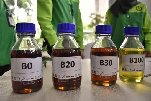 Aprobi Klaim: Tahun 2020, Indonesia Hemat Devisa Rp63,4 Triliun dari Produksi Biodiesel