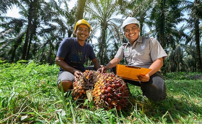Asian Agri – INSTIPER, Edukasi Generasi Muda Melawan Kampanye Negatif Kelapa Sawit