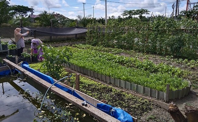 Astra Agro Dukung Usaha Kecil dan Menengah di Area Sulawesi