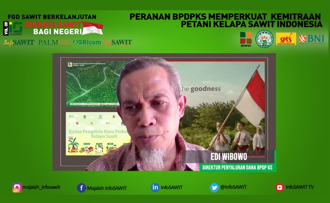 BPDPKS Dorong Kemitraan PSR Sawit Guna Jaminan Pasar TBS Sawit Petani