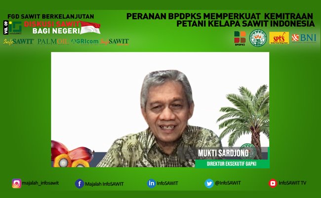 Dukung PSR Sawit, Ini Sederet Skim Pembiayaan Kemitraan Sawit GAPKI