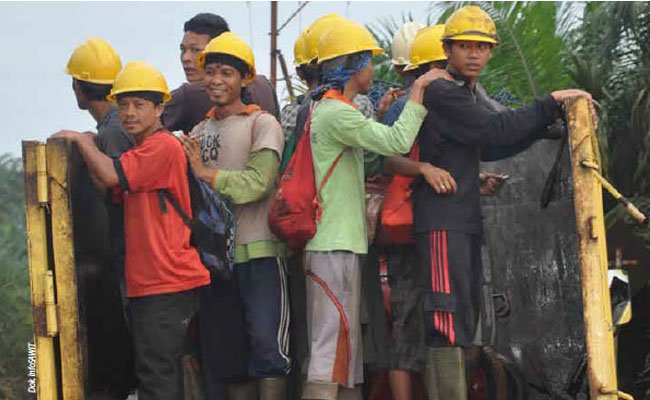 Kehidupan Layak Buruh Sawit perlu Dievaluasi lewat Moratorium Sawit