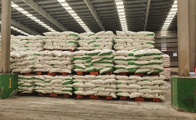 Petani Sawit Bisa Bangkrut, Bila Pemerintah Tak Perbaiki Tata Niaga Pupuk