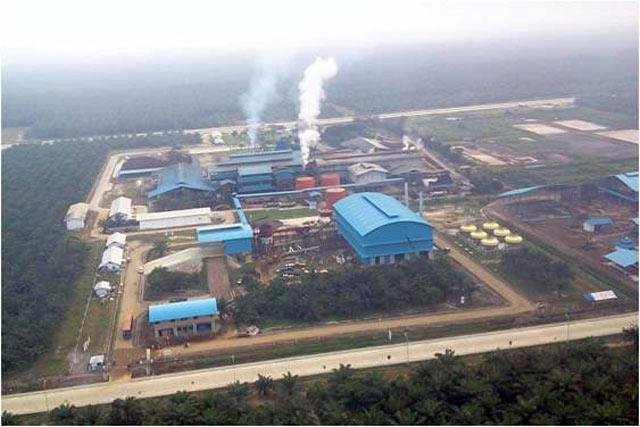 10 Perusahaan Sawit Baru Beroperasi Di Maloy