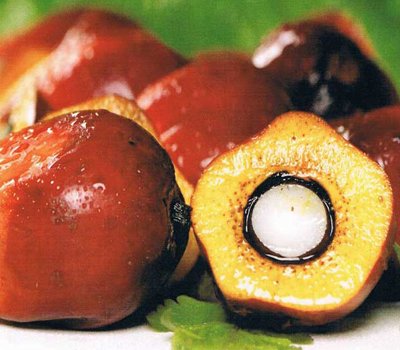 4 Bulan Pertama, Ekspor CPO Malaysia Capai 1,3 Tuta Ton