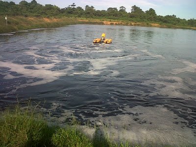 Bentuk Tim Lantaran Diduga Limbah Sawit Cemari Sungai