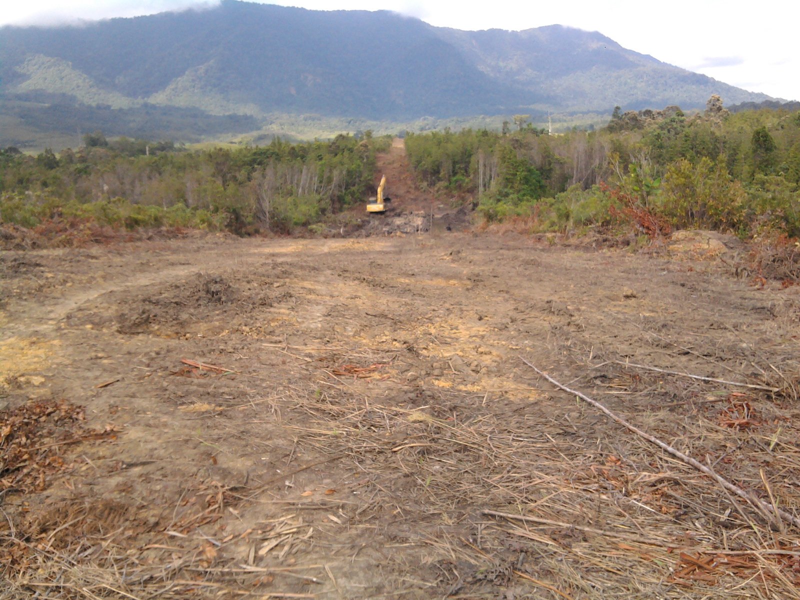 Dianggap Merugikan, Warga Taniwel Tolak Pembukaan Kebun Sawit