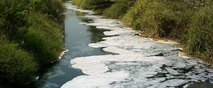 Dituding Cemari Lingkungan, KLH Datangi Perusahaan Sawit