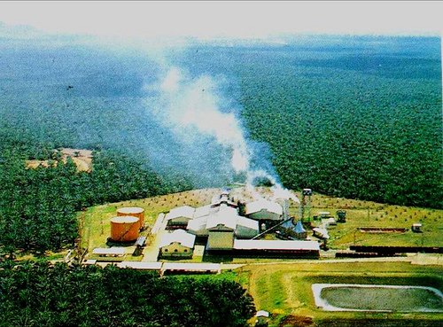 DP3K Tidak Bisa Berikan Sanksi Pabrik CPO Yang Bandel