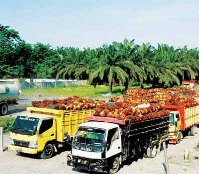 Tak Ada Batu Sandungan