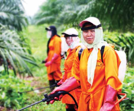 INFO PETANI - KUALITAS APLIKASI PENYEMPROTAN PESTISIDA