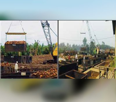 INFO PETANI - PENGANGKUTAN HASIL PANEN DI LAHAN GAMBUT