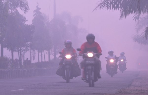 Sampit Kembali Diselimuti Asap