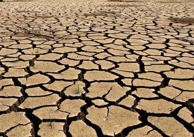 Disbun Kaltim Bantu Pencegahan Kabakaran Lahan 