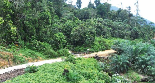 PIL PAHIT UJI MATERI PP NO.12/2014