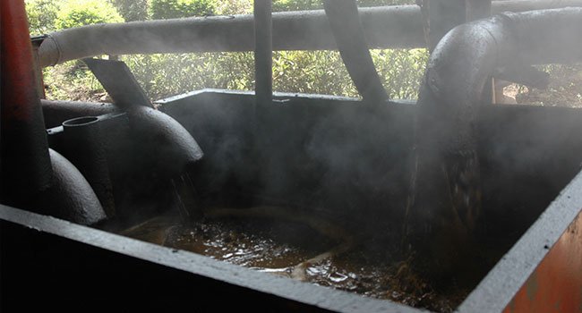 Sindikat Ekonomi Internasional Permainkan Harga CPO