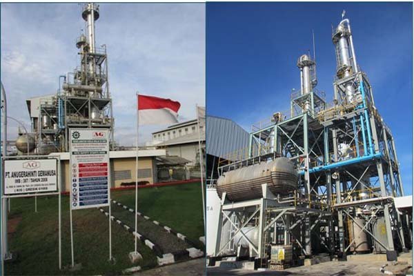 Eterindo Perbesar Porsi Jualan Biodiesel