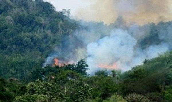Korindo Duga Masyarakarat Bakar Lahan