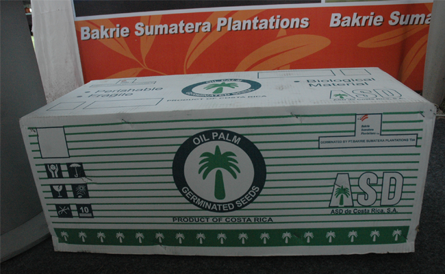 Benih Sawit PT ASD-Bakrie Bakal Dongkrak Produksi Nasional