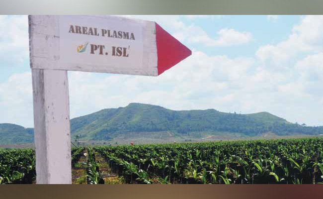 MENGEMBALIKAN ASA PETANI KELAPA SAWIT DI 16 DESA