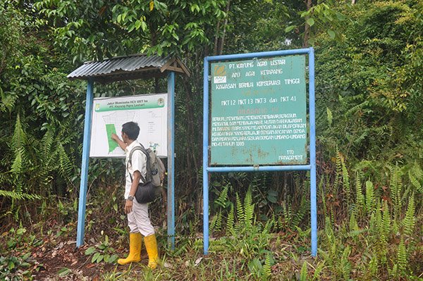 PT Kayung Agro Lestari Kelola 2 Konservasi Orangutan