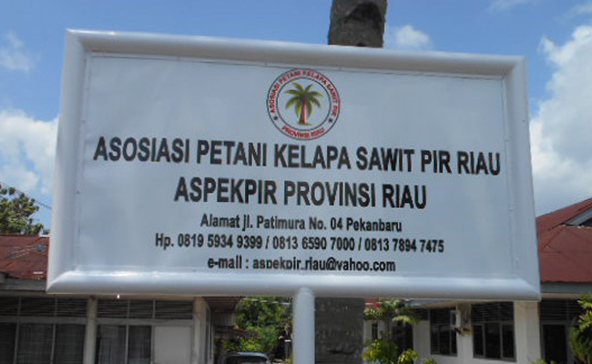 Kemitraan Kunci Keberhasilan Program Sawit Plasma