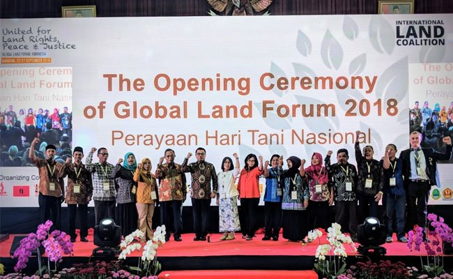 Pemerintah Ingin Evaluasi Menyeluruh Kinerja Pekebunan Kelapa Sawit