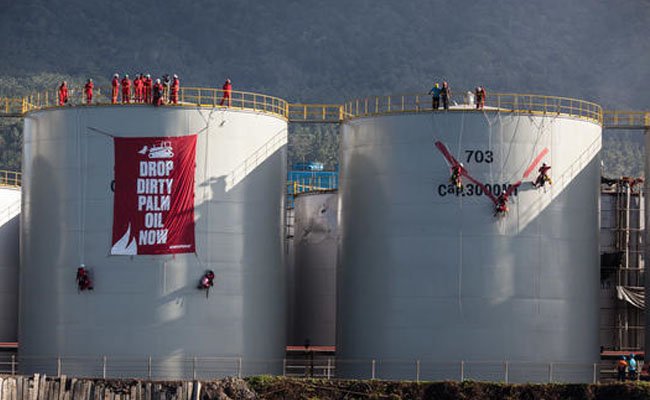Personel Group Band Boomerang dan Greenpeace Duduki Kilang Minyak Sawit Wilmar
