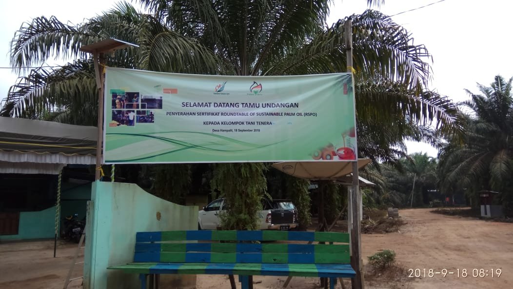Petani Sawit Kotawaringin Timur Dapat Sertifikasi RSPO