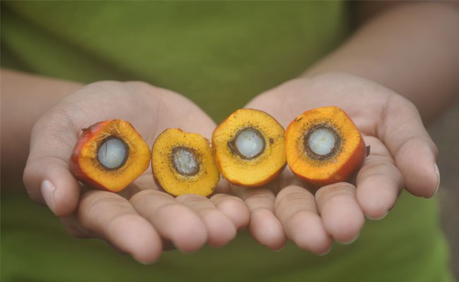 RSPO & Copenhagen Business School, Lakukan Riset Lambannya Serapan Minyak Sawit Berkelanjutan
