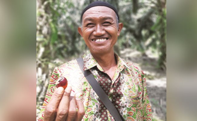 0,4% Produk Minyak Sawit Bersertifikat Di Dunia Dari Petani