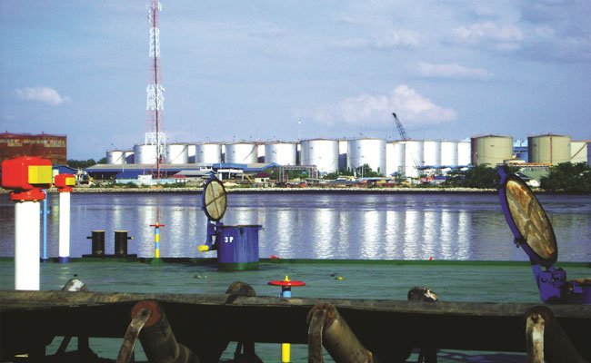 Industri Turunan Sawit Oleokimia, Tumbuh
