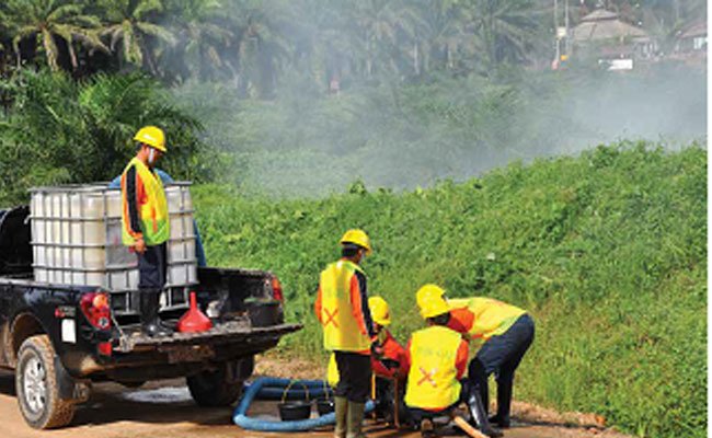 Sawit Atasi Kebakaran Lahan