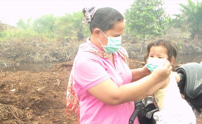 Sawit Watch : Perusahaan Pembakar Hutan Dan Lahan Jangan Sampai Lolos