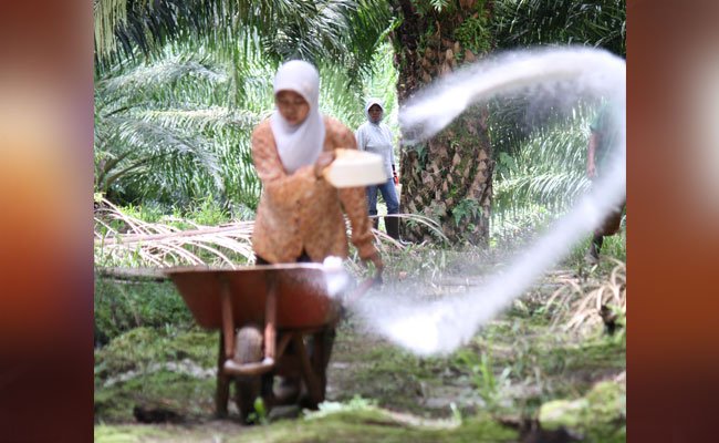 Sawit Watch: Perluasan Sektor Pekerjaan Alih Daya Langgengkan Diskriminasi terhadap Perempuan