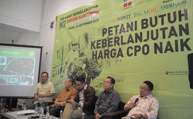 SPKS: Harga Sawit Rakyat Masih Ditentukan Hukum Pasar