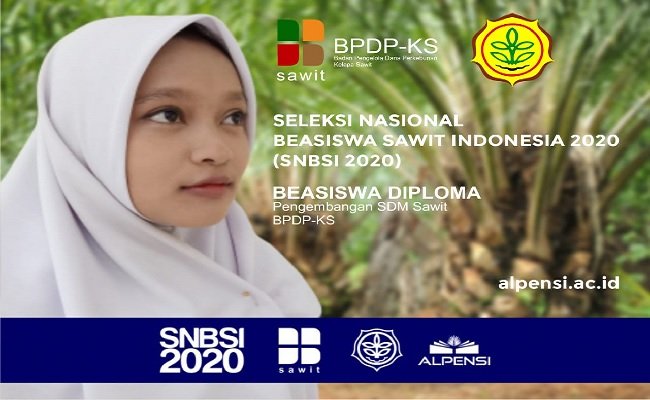 Hasil Seleksi Beasiswa Sawit 2020 Serap 655 orang, dari Peminat 3.387 Peserta