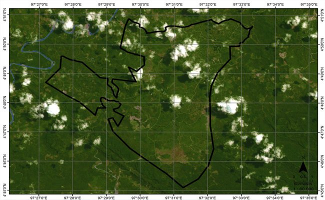 RGE Diduga Melanggar Komitmen Nol Deforestasi dan Eksploitasi