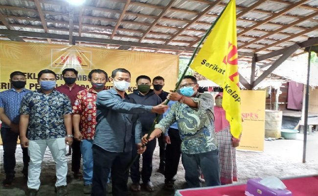 Untuk Minyak Sawit Berkelanjutan, Petani di Kobar dan Seruyan Sepakat Dirikan SPKS