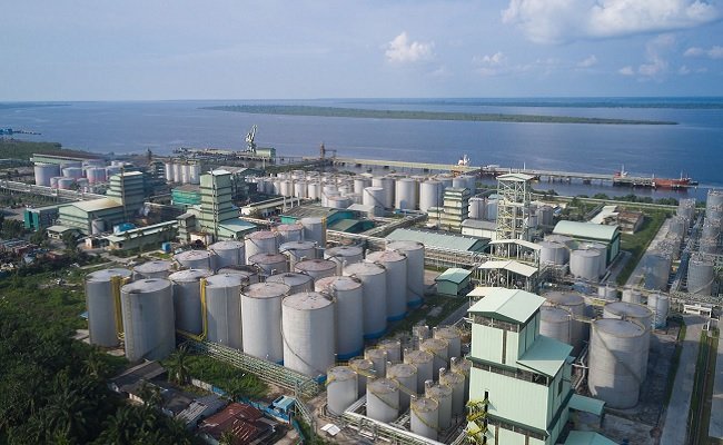 Apical Peroleh Pembiayaan Hijau Senilai US$ 750 Juta