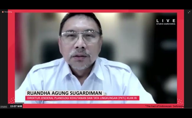 Deforestasi 2019/2020 di Indonesia Turun Drastis 75%