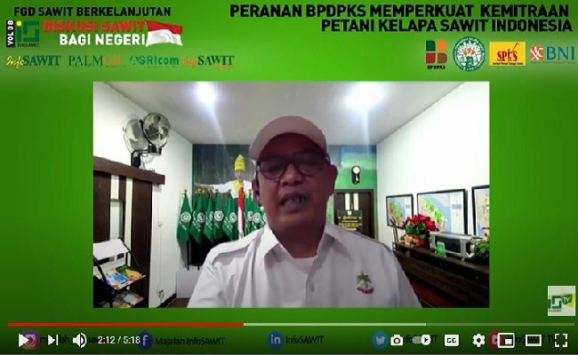 FGD Sawit Berkelanjutan 9: Dua Kendala Sektor Sawit Mesti Segera Diselesaikan