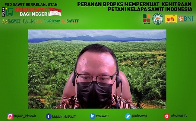 FGD Sawit Berkelanjutan 9: Sawit Mampu Sejahterakan Seluruh Pelaku Dalam Rantai Pasok